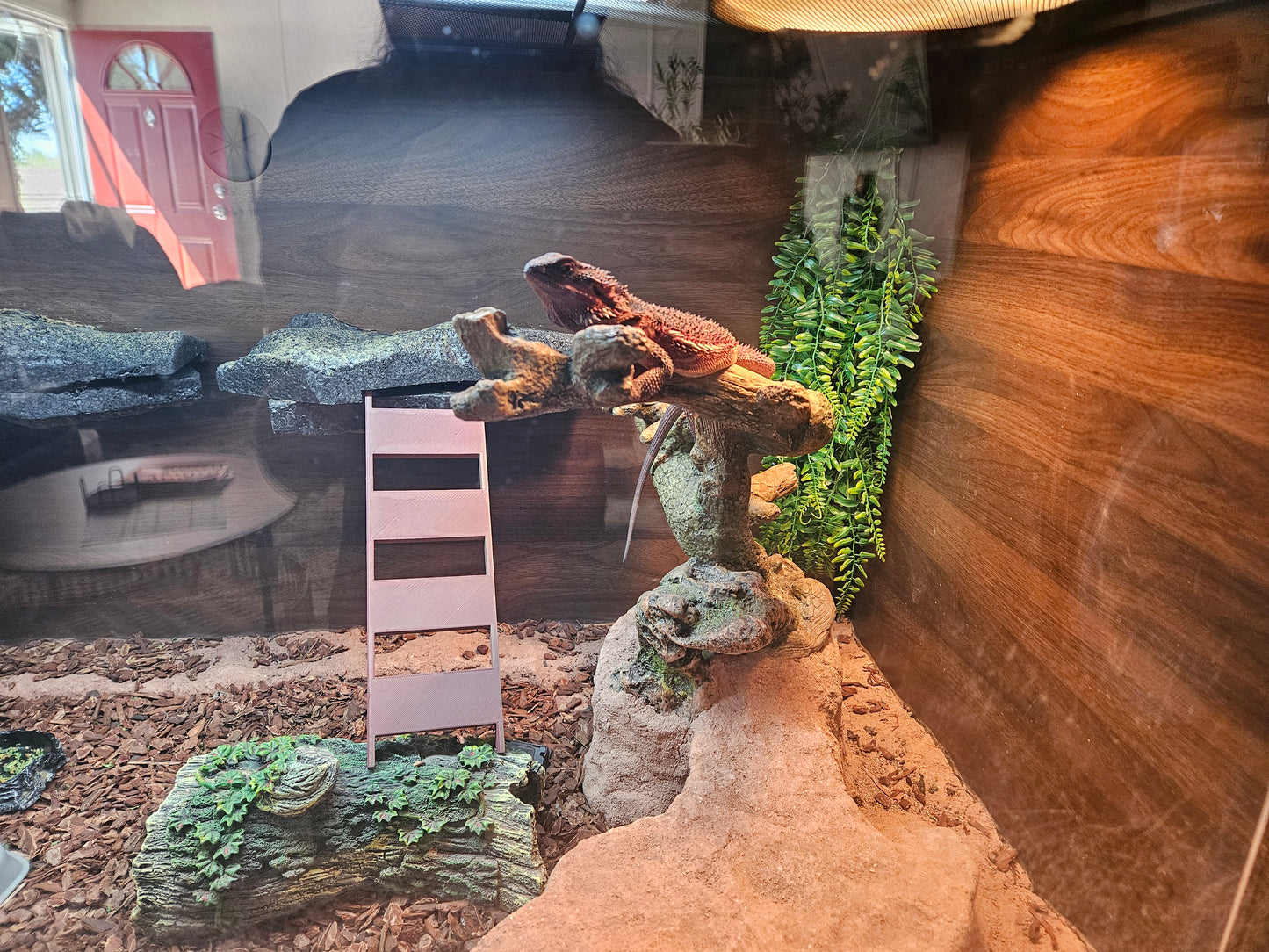 11.7" Lizard/Small Animal Wood Ladder