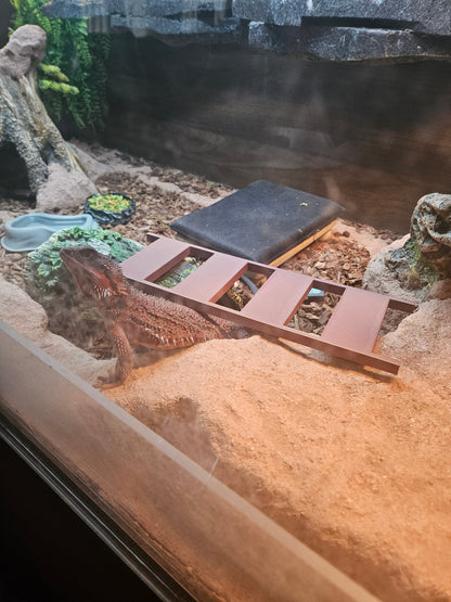 11.7" Lizard/Small Animal Wood Ladder